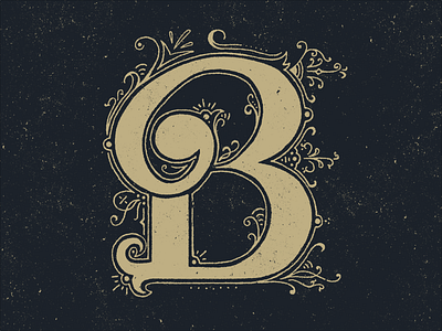 B - Typefight b handdrawn lettering typefight typography