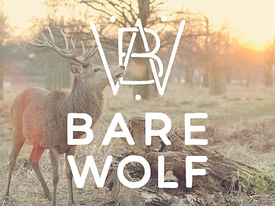 Bare Wolf Logo clothing environment hand drawn illustration lettering logo recycle typography vintage