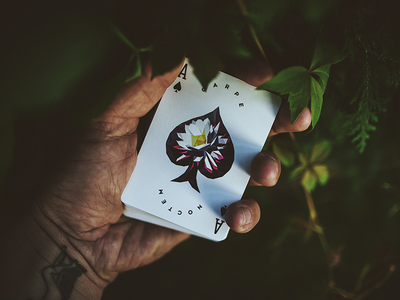 Carpe Noctem - Low Poly Ace ace bold colourful flower illustration low poly magic photograph playing cards spades