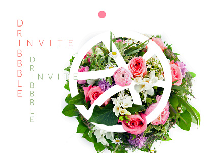 1 Dribbble Invite