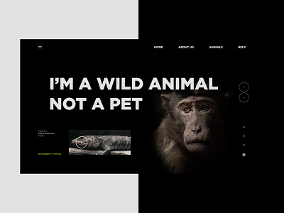 ACT--NOW animal black branding clean concept design dribbble earth forests help minimal save save animals ui ux webdesign website wild wildlife yellow