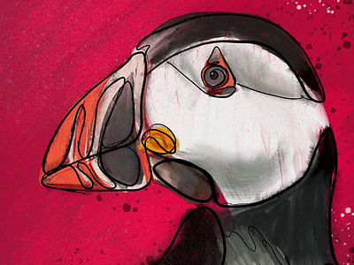 Puffin bird digital painting illustrator procreate puffin red seabird sketch