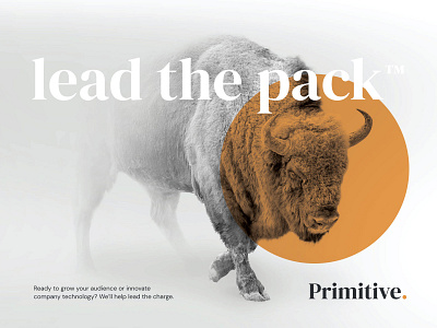Primitive Ad agency branding buffalo circle