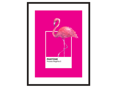 Pantone Flamingo Process Magenta C Art Poster art flamingo magenta pantone pink poster