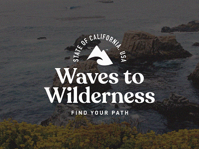 Waves To Wilderness Logo Badge badge branding logo mountain serif surf wave