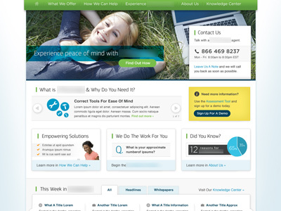 Corporate Website blue business clean corporate green minimal website