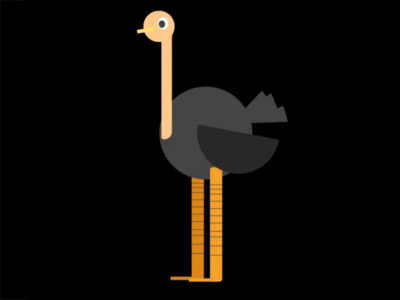 Ammar Yazid Dribbble