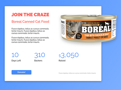 Crowdfunding Campaign dailyui design ui ux website ux