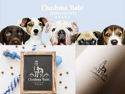 Chasma Baht Dogs Food branding design dog dog logo food illustration logo packing pet food