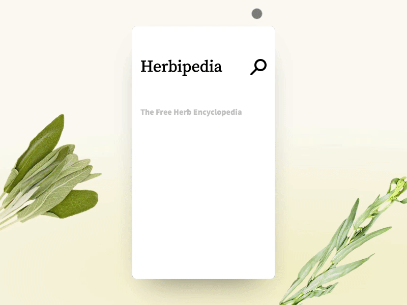Dailyui 022 - Herb search 022 animation dailyui design herb interaction list mobile react search