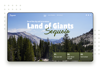 Sequoia park website branding design sequoia website