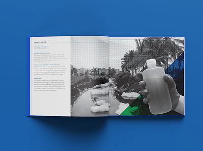 CASS Annual Report annual report blue book book design columns creative design design editorial design filter graphic design hand illustration layout exploration page layout pages report sanitation water water solution