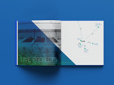 CASS Brochure - Live Project Section black blue blue and white book book design brochure brochure design brochure layout brochure mockup brochure template design graphic graphicdesign green infographic information information design report typogaphy