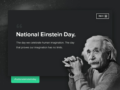 National Einstein Day! albert einstein