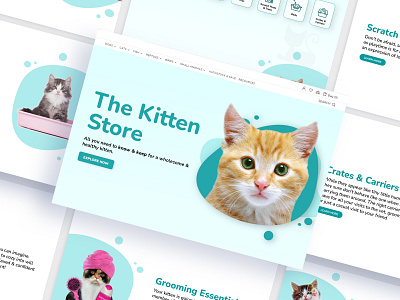 Landing page - Pet Store (Kitten) design landing page pet pet store website web design