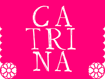 Catrina art branding catrina design logo mexico minimal typography vector