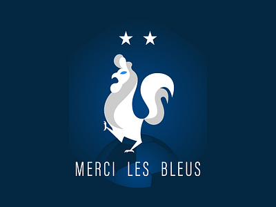 Merci les Bleus