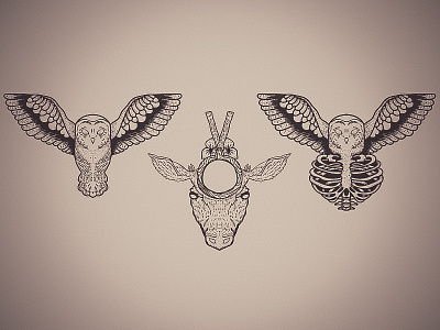 Owl bone deer illustration owl print sketch tatto vector
