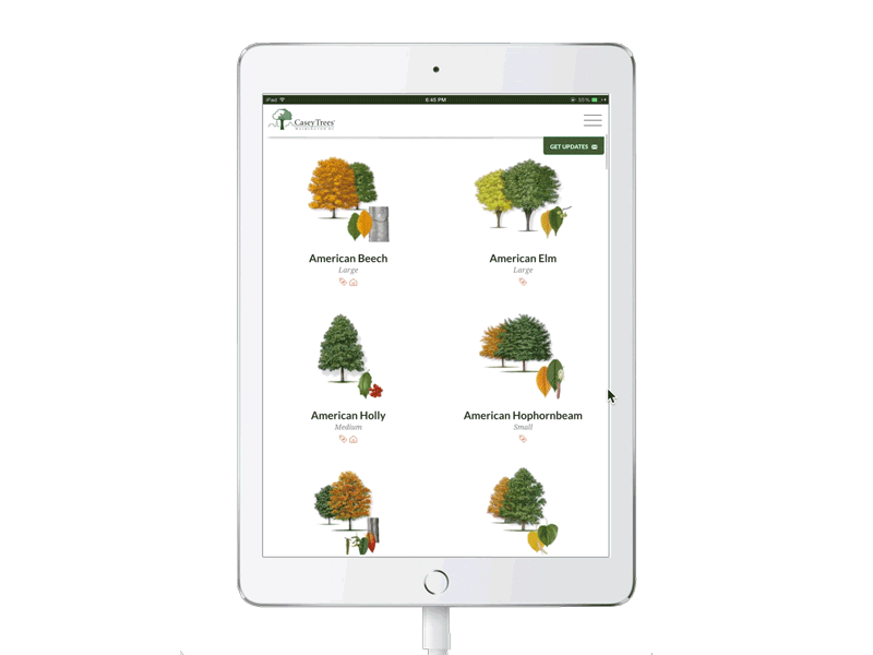 Tree Finding Tool app arborist environment trees urban trees