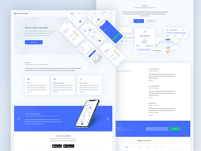 Lightning Wallet- Landing Page by Pawel Kwasnik for ETHWORKS on Dribbble