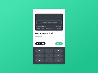 Credit Card Input Concept