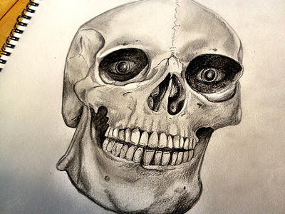 Human Skull Sketch black bone dead eyes holes human pencil shading shadow skull teeth white