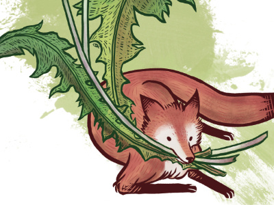 Dande Fox animals cintiq colouring illustration magazine