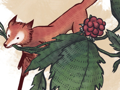 Blackberry Fox animals cintiq colouring illustration magazine