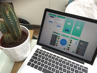 Water My Plants please?! Love your plats app plants uiux