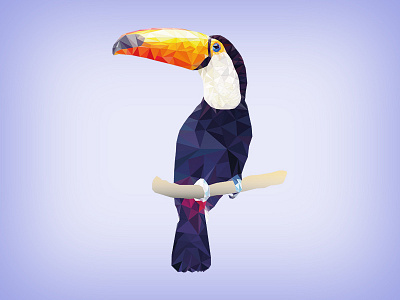 Toucan Fever animals illustration low poly toucan