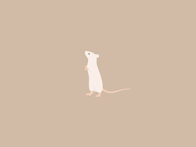 Rat animal animal illustration flat illustration illustrator one a day rat simple soft colors vector vector illustration