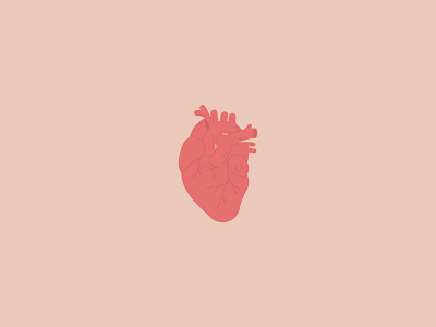 Human heart