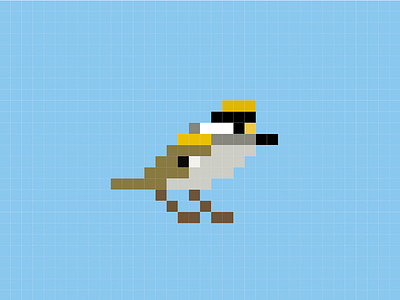 Regulus - the pixel bird bird illustration nature pixelart pixels