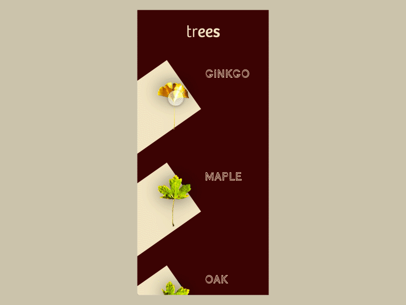 Trees - nature lover app adobe xd animation application leaf prototype trees