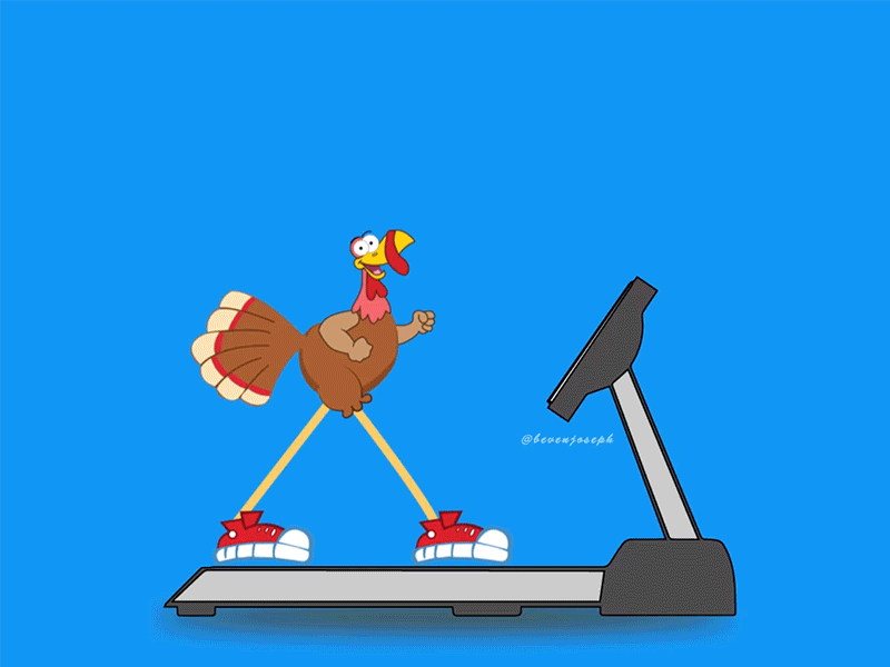 Turkey Bird aftereffects animation design flat icon illustration illustrator minimal motion design motiongraphics vector website