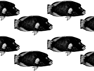 Swim Away artist black and white dark design drawing fish gravure illustration illustration art illustrator napoleon procreate sea swim swimming water
