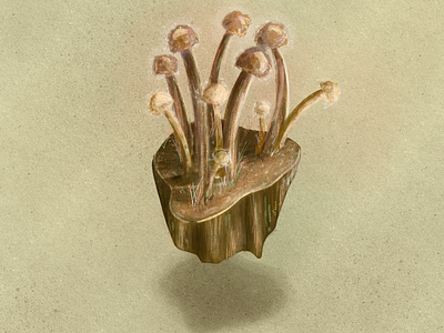 Mushroom Island digital drawing drawing ipad pro island mushrooms procreate watercolor