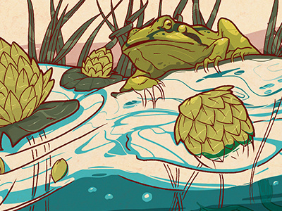 Frog cont. frog illustration marekolani photoshop swamp wip