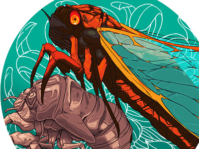 Cicada Finished art cicada illustration insect photoshop