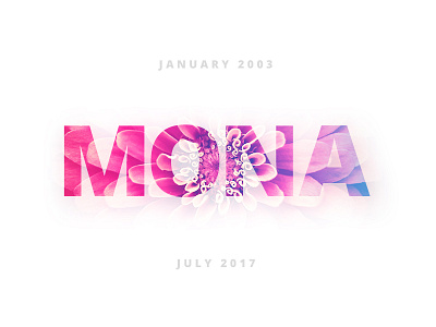 In Memory of Mona cat