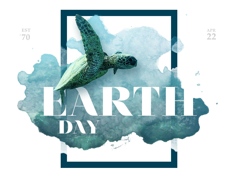 Earth Day environment turtle earth day