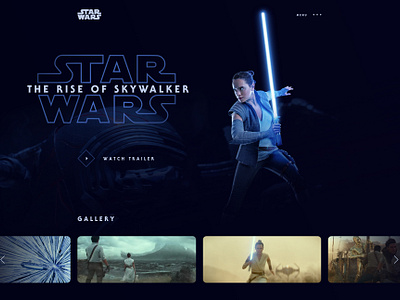 Star Wars: The Rise Of Skywalker' Character Posters [PHOTO GALLERY