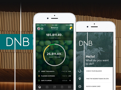 DNB Mobile banking experience app application bank banking budget dnb ios norway ui ux