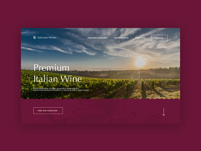 AuGusto Wines Web Design