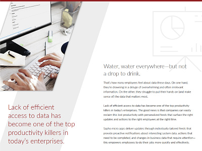 Employee Productivity data ebook gated content layout pdf stats whitepaper