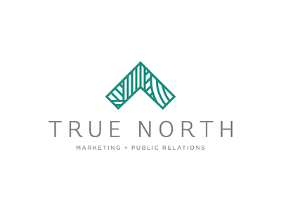 True North Logo Concept (in progress) logo