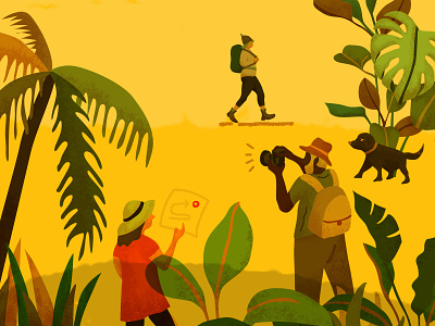 Adventure blog brush explore explorers illustration infographics jungle nature proposify sales