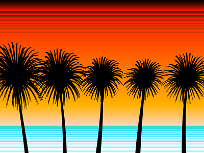 Palm Sunset