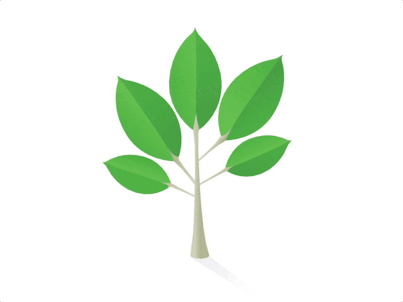 Growing Tree Svg Animation animation greensock grow growing sapling svg tree