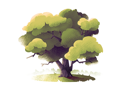 #6 Maple Tree illustration maple nature tree